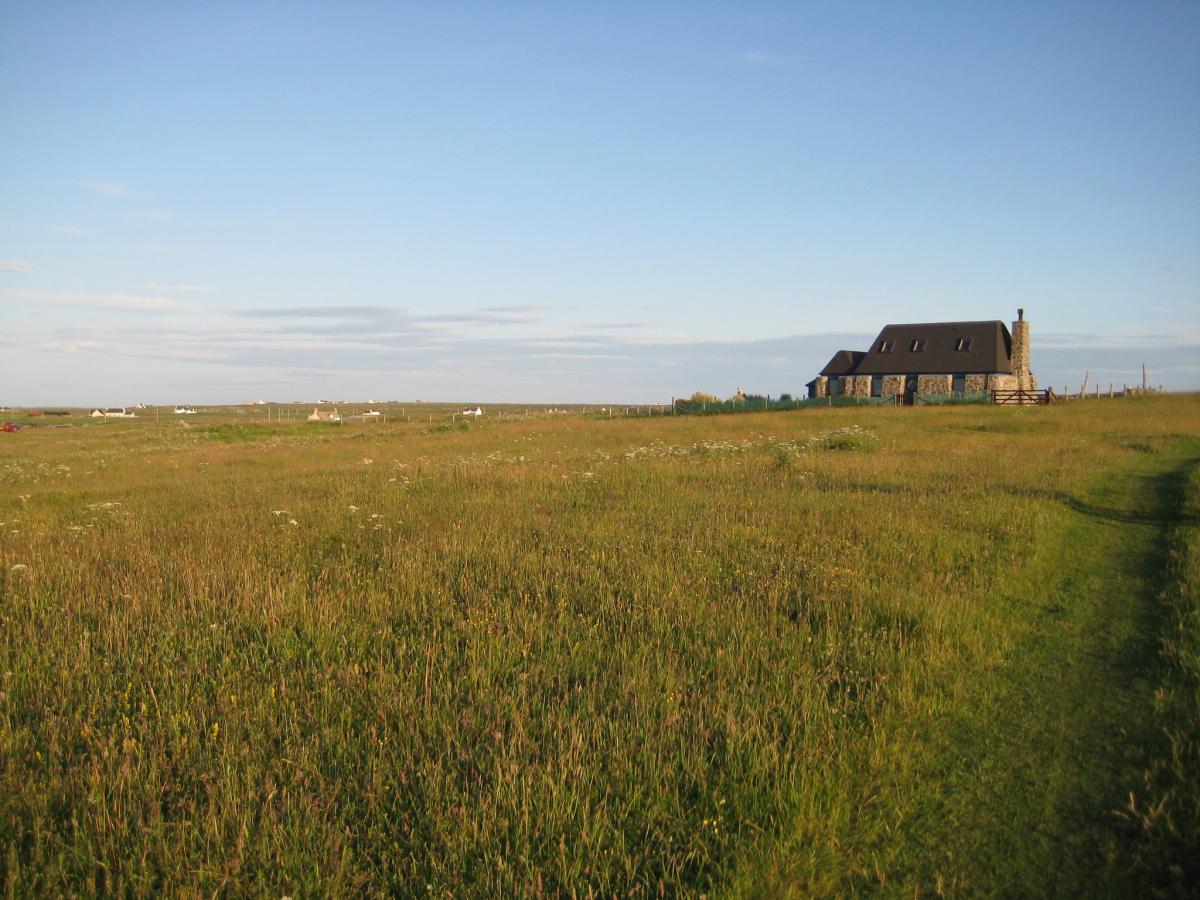 Cottage in the fields